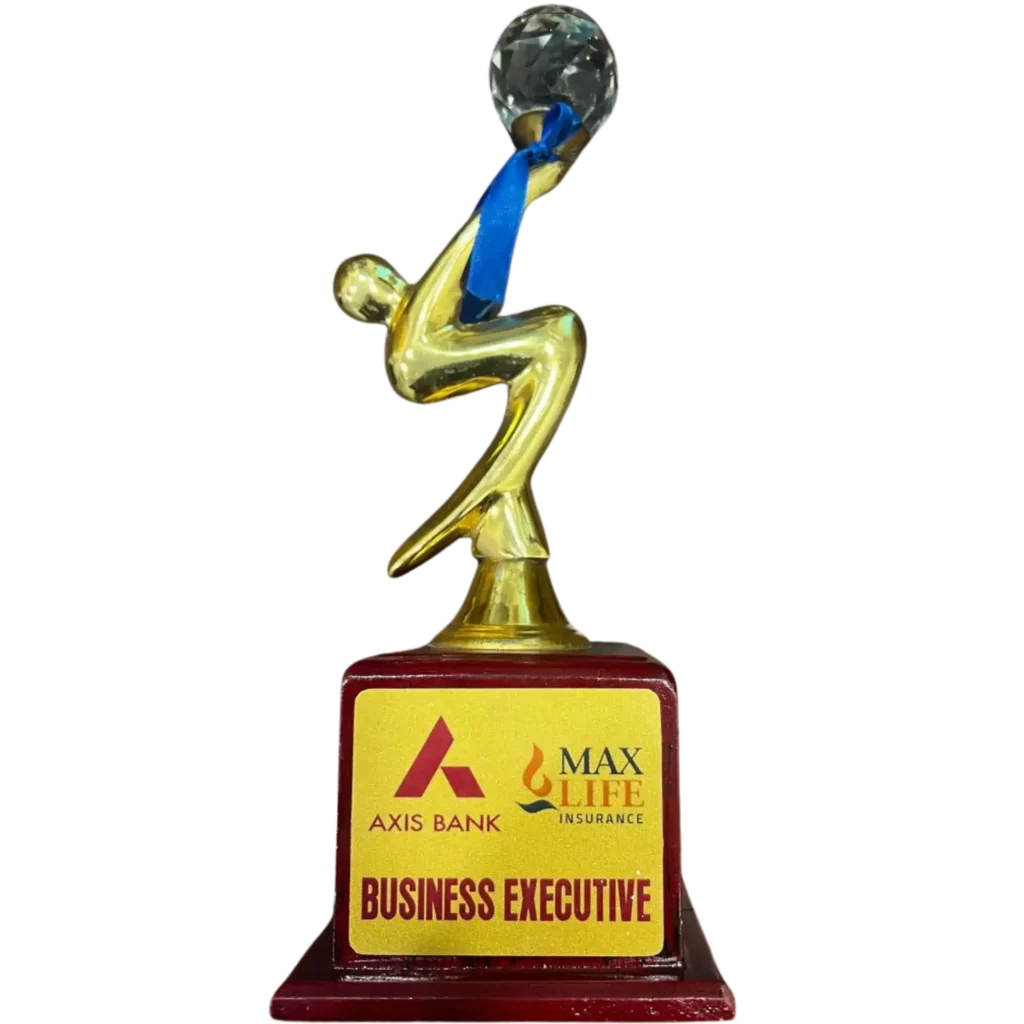 Axis Bank - Business Executive