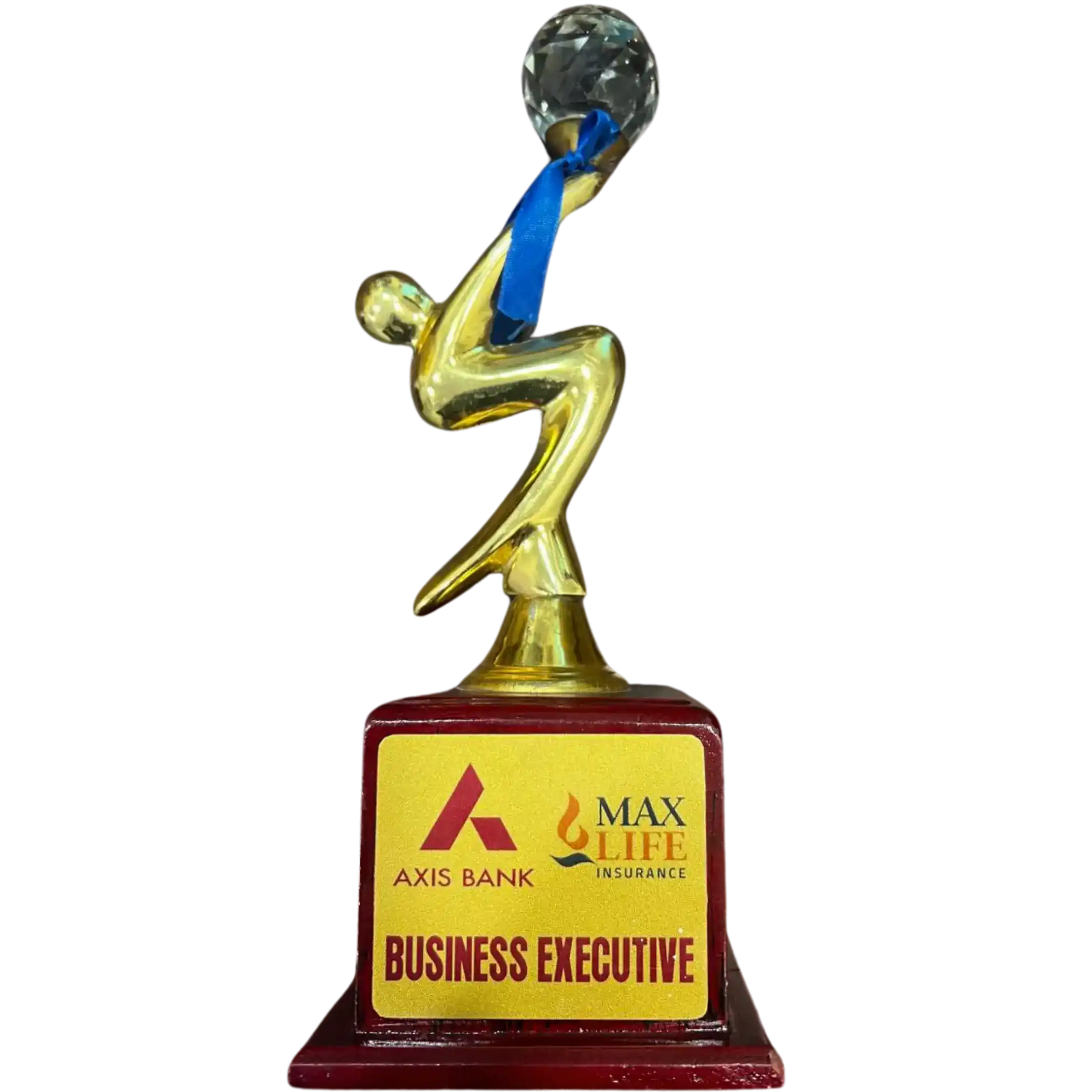 Axis Bank - Business Executive
